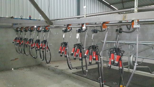 BORULU SAĞIM MAKİNESİ